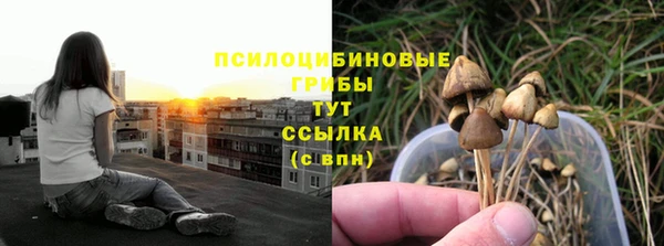 кокаин колумбия Алексин
