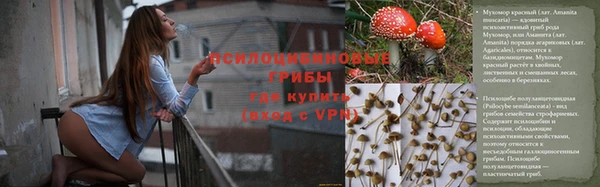 стафф Алексеевка