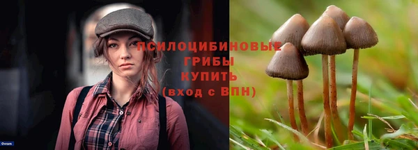 прущие крисы Семёнов
