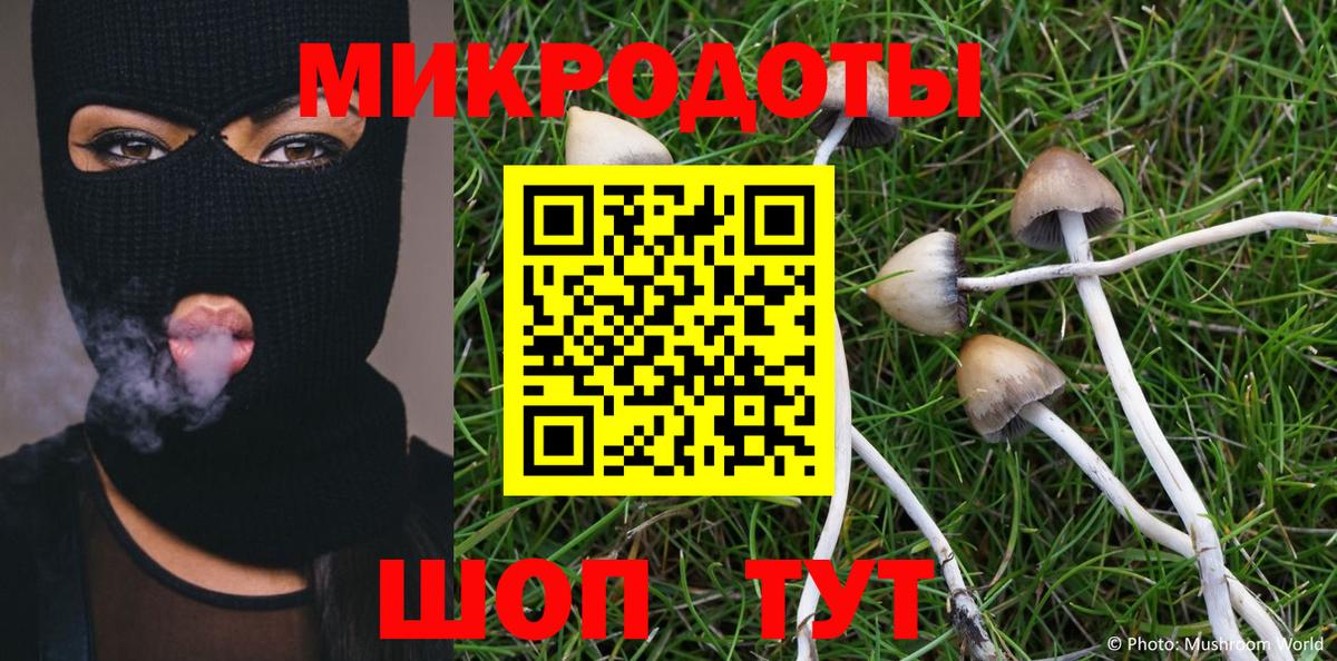 Галлюциногенные грибы Cubensis  закладка  Большой Камень  Вход с VPN 