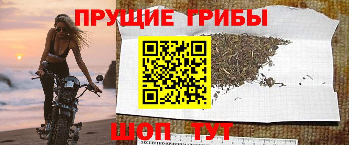 Галлюциногенные грибы мицелий Большой Камень